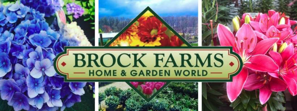 Brockfarms